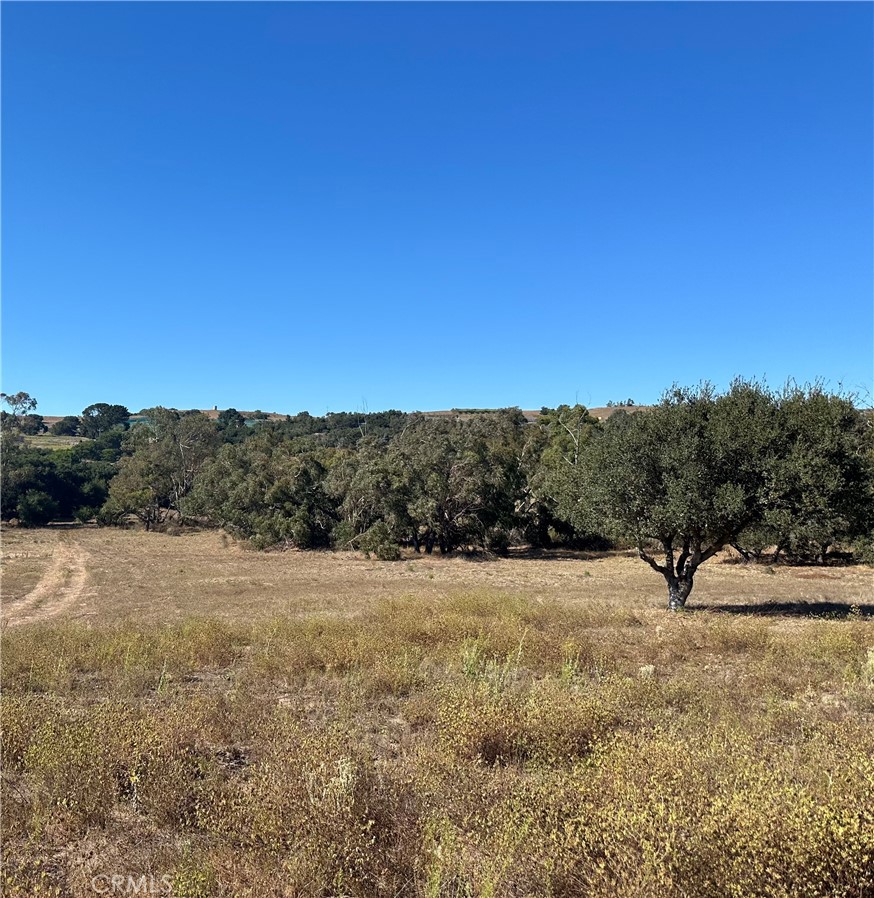 Land in Lompoc 5