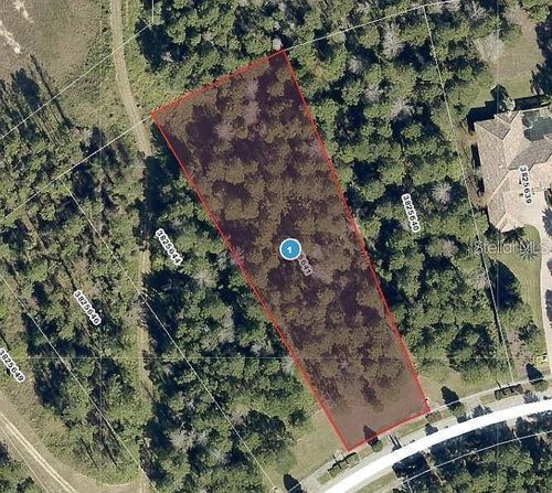 16036 Pendio Dr, BELLA COLLINA, FL, 34756-3619 | Card Image