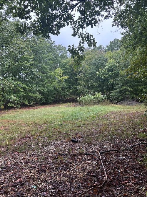 141 Kozy Ln, Buckingham, VA, 23921-2431 | Card Image