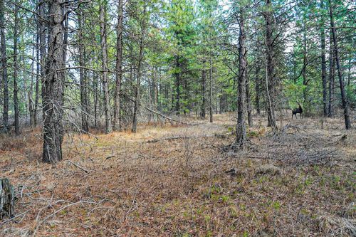 XXX E Slaton Rd, Deer Park, WA, 99006 | Card Image