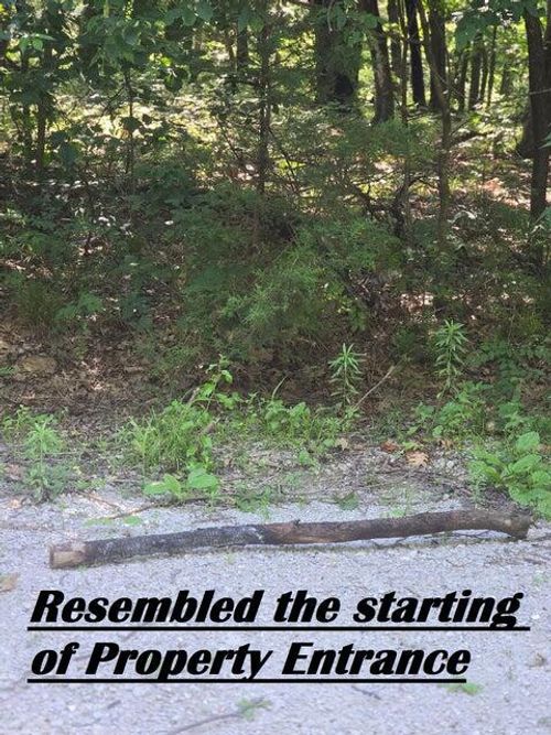 11620 S 1215 Rd, Stockton, MO, 65785 | Card Image