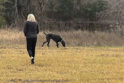 TBD Hcr 2224 E, Aquilla, TX, 76622 | Card Image