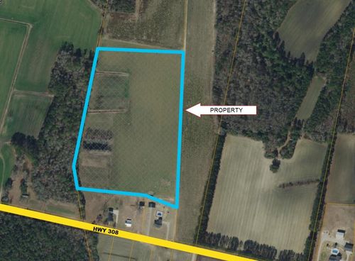 TBD Highway 308, Galivants Ferry, SC, 29544 | Card Image