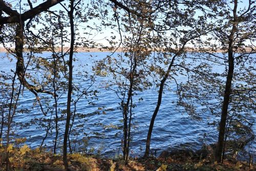 XXX7 Serenity Dr Sw, Alexandria, MN, 56308 | Card Image