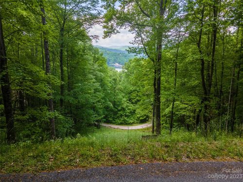10-Lt 10 Von Trapp Ln, Tuckasegee, NC, 28783 | Card Image