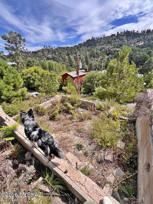 4-and-5-12773 N Phoenix Ave, Mount Lemmon, AZ, 85619-0040 | Card Image