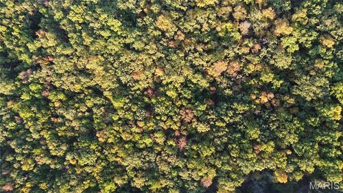 5 W Lions Club Dr, Rolla, MO, 65401 | Card Image