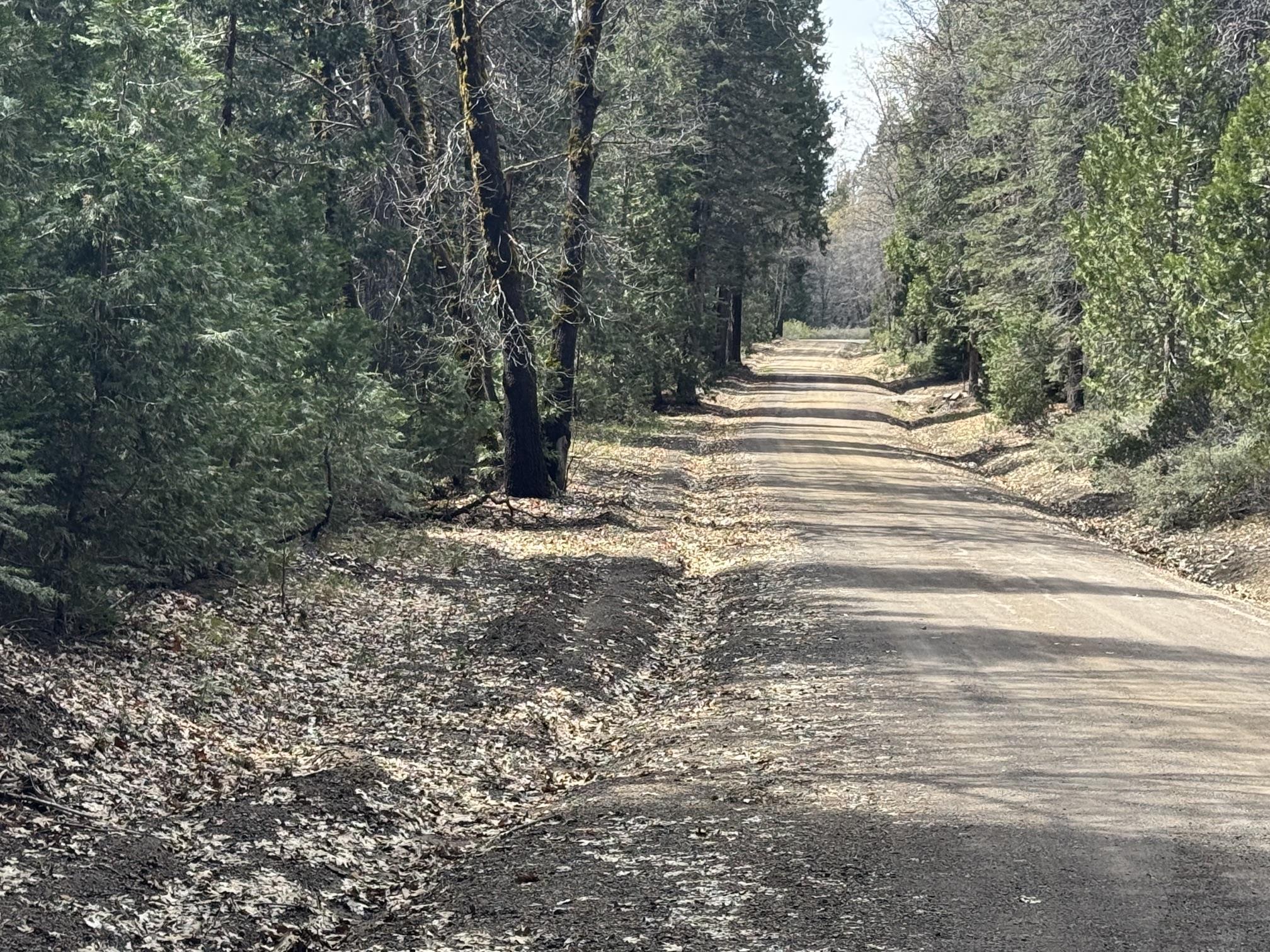 Land in McCloud 5