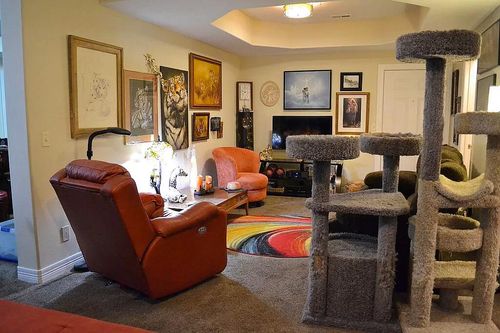 unit-221-180 Grace Chapel Road, Blue Eye, MO, 65611 | Card Image