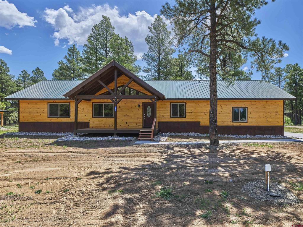 Residential in Pagosa Springs 2