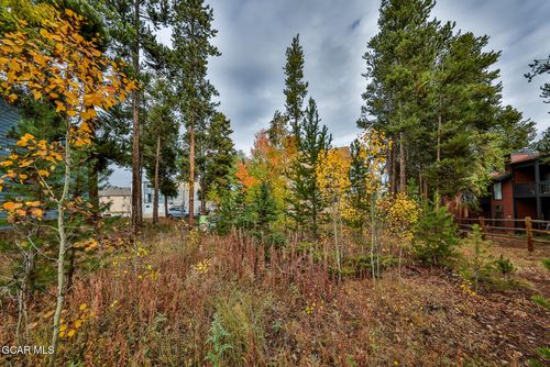 870 Ferret Ln, Fraser, CO, 80442-5076 | Card Image