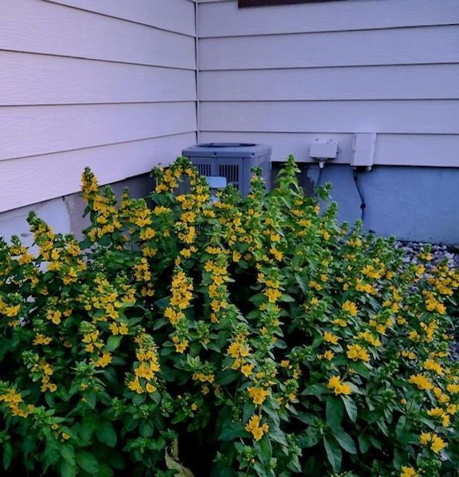 401 Howard St Nw, House other with 3 bedrooms, 2 bathrooms and null parking in Silver Lake MN | Image 29