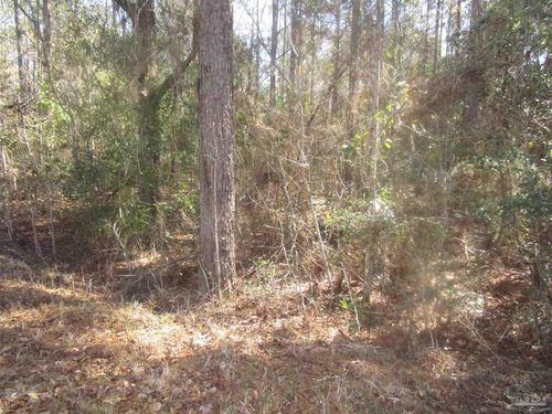 0 Yellow River Log Lake Rd, Holt, FL, 32564 | Card Image