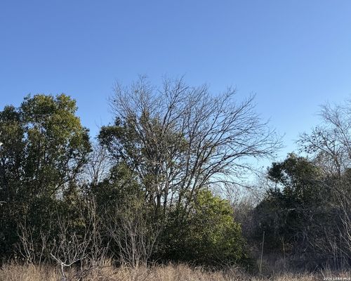 206 Dulce St, San Antonio, TX, 78228 | Card Image