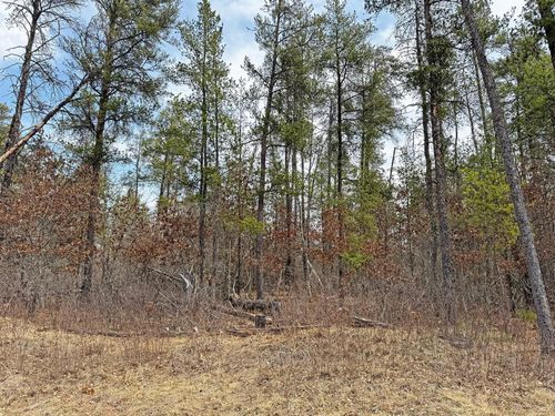 20 Middle Road, Minong, WI, 54859 | Card Image