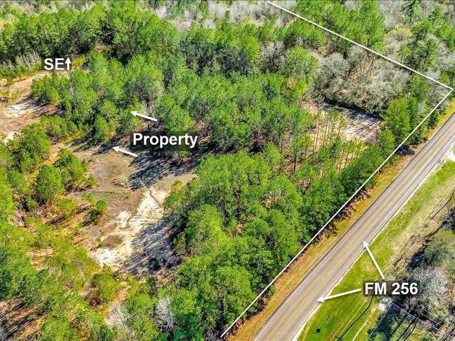 This image shows a wooded property bordered by a clear road (FM 256) on the right. The land is densely covered with trees, offering privacy and a natural setting. The area is spacious and ideal for those seeking a serene environment. | Image 8