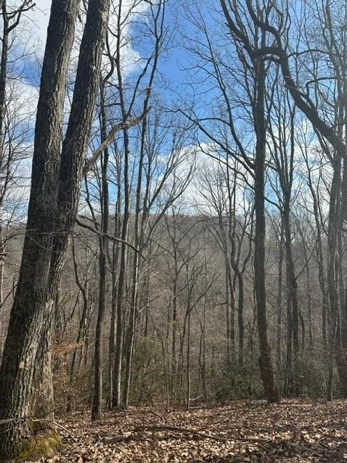 1257 State Route 111, Spencer, TN, 38585 | Card Image