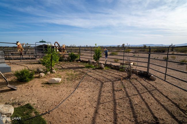 Fenced orchard | Image 55