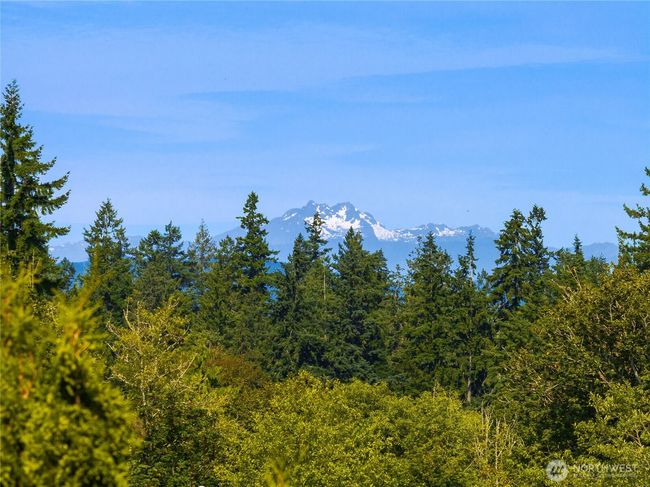 Lovely Mountain Views from the Backyard | Image 30