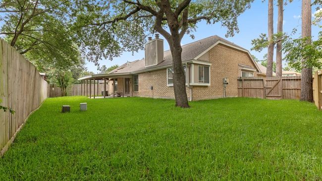 Back yard | Image 33