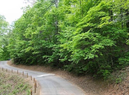 lot-15-Lot 15 Dogwood Trl, Robbinsville, NC, 28771-6610 | Card Image