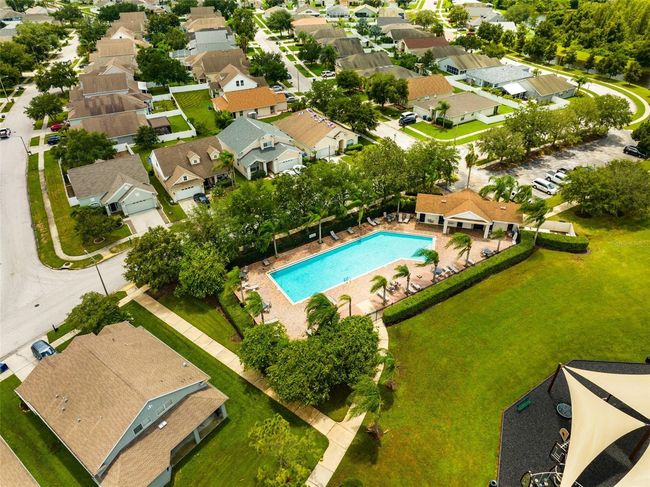 3549 Cardinal Feather Dr, House other with 3 bedrooms, 3 bathrooms and null parking in LAND O LAKES FL | Image 40