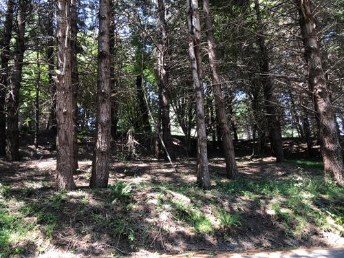 522 Beach Rd, Whitethorn, CA, 95589-9182 | Card Image