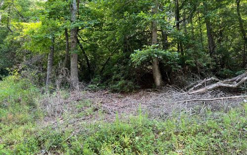 Tr 1 Fires Creek Rd, Hayesville, NC, 28904-7526 | Card Image