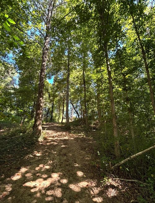 388 W Toomey Lane, Madisonville, TN, 37354 | Card Image