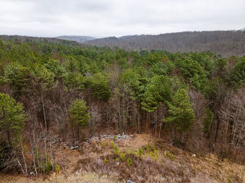 0 Captain Carter Rd, Spencer, TN, 38585 | Card Image