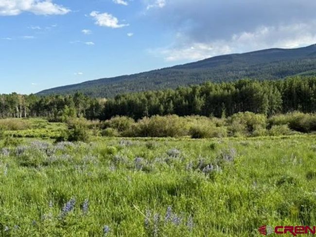 41014 Beaver Trail Ln, House other with 4 bedrooms, 2 bathrooms and null parking in Paonia CO | Image 38