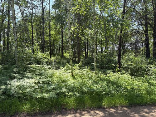 TBD S Sluetter Road, Pequot Lakes, MN, 56472 | Card Image