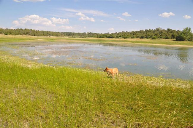 13989 Road 35.6, Home with 0 bedrooms, 0 bathrooms and null parking in Mancos CO | Image 7