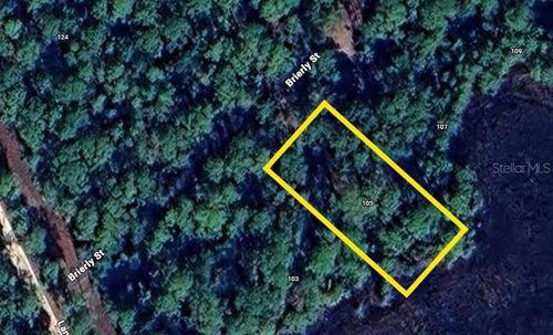 105 Brierly St, Georgetown, FL, 32139 | Card Image