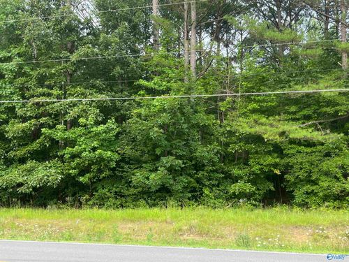 10 Acres Nauvoo Rd, Nauvoo, AL, 35578 | Card Image