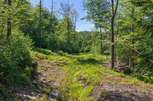 381 Whitaker Farm Road, Marlboro, VT, 05344 | Card Image