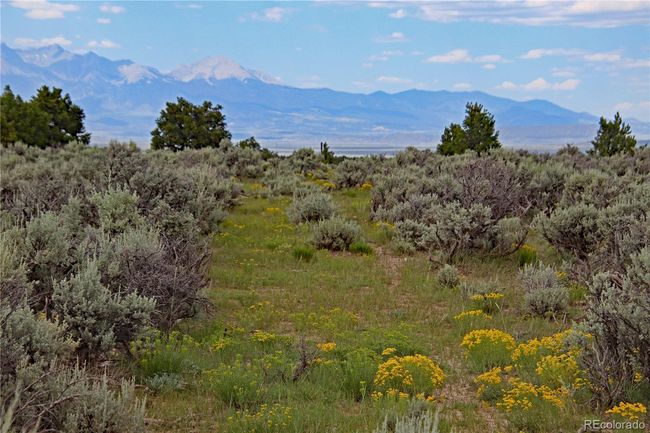 1 Mesa Drive East, Home with 0 bedrooms, 0 bathrooms and null parking in San Luis CO | Image 22