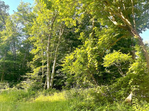 TBD Blue Water Beach Rd Nw, Walker, MN, 56484 | Card Image