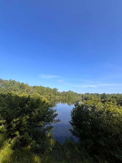 128 Paces Creek Rd, Trenton, SC, 29847-2036 | Card Image