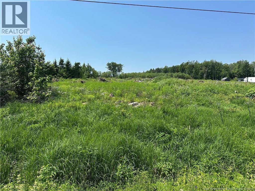 Land in Hamtown Corner 3
