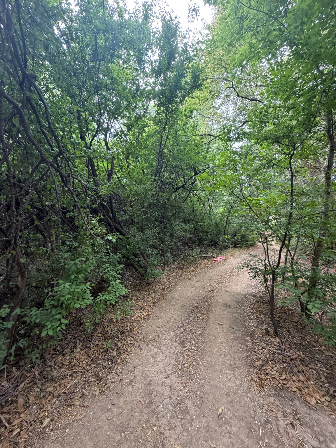 Land in Ogden 3