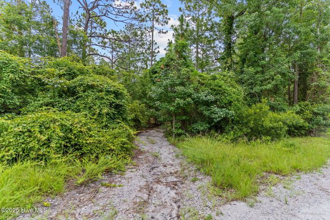 Wooded | Image 6