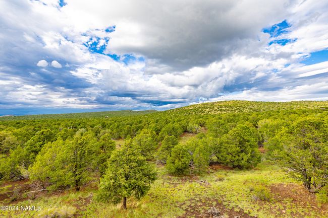 2667 E Overlook Dr, House other with 3 bedrooms, 3 bathrooms and null parking in Williams AZ | Image 62