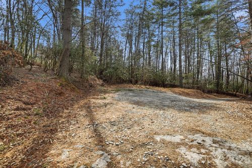 1-000001 Ray Hill Rd, Horse Shoe, NC, 28742-8738 | Card Image