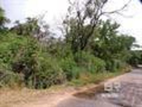 13747 County Road 64, Loxley, AL, 36551-4031 | Card Image