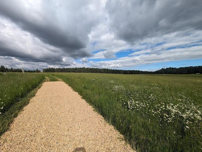 field driveway, newly graveled | Image 7