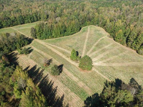 000 Burgess Loop Rd, Middleton, TN, 38052 | Card Image