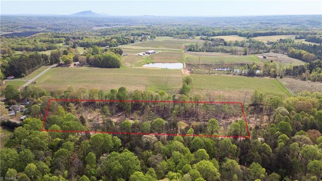 0 Jarvis Plantation Rd, Home with 0 bedrooms, 0 bathrooms and null parking in Dobson NC | Image 10