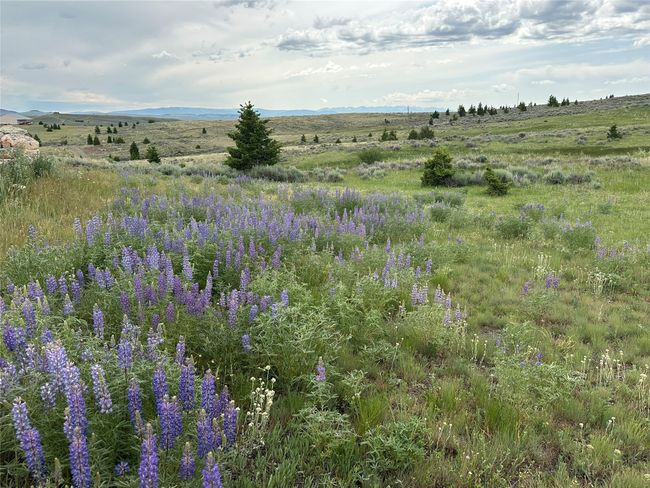 View of local wilderness with rural landscape | Image 23