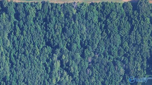 4 Acres Carters Gin Rd, Toney, AL, 35773 | Card Image